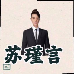 苏瑾言